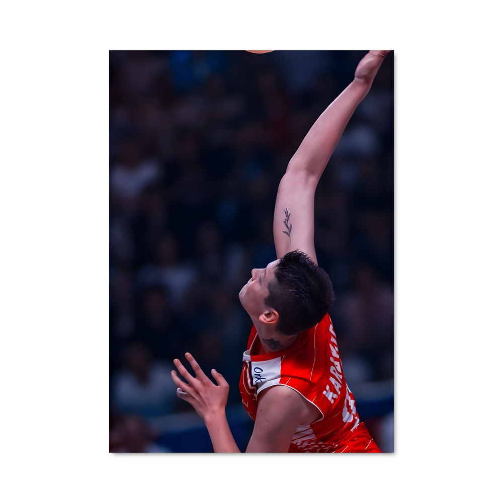 Poster Turkey de national